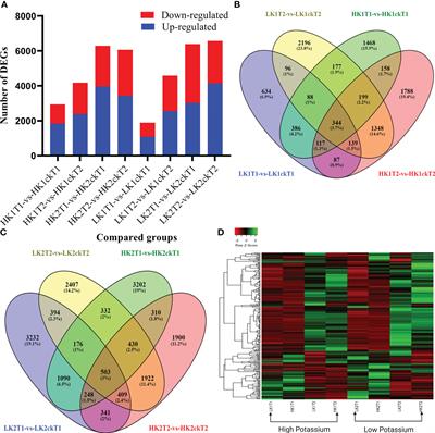 Transcriptome analysis reveals key regulatory genes for root growth related to potassium utilization efficiency in rapeseed (Brassica napus L.)